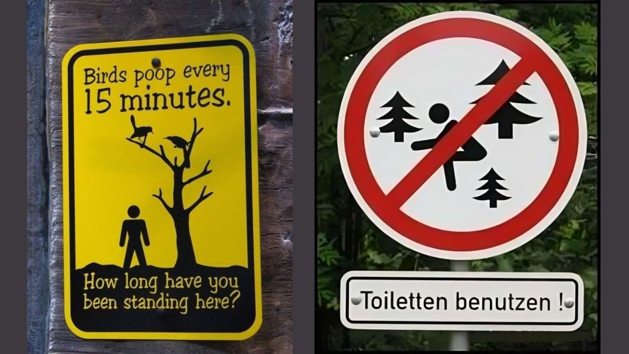 Try Not to Laugh on these 33 Most Humorous Road Signs